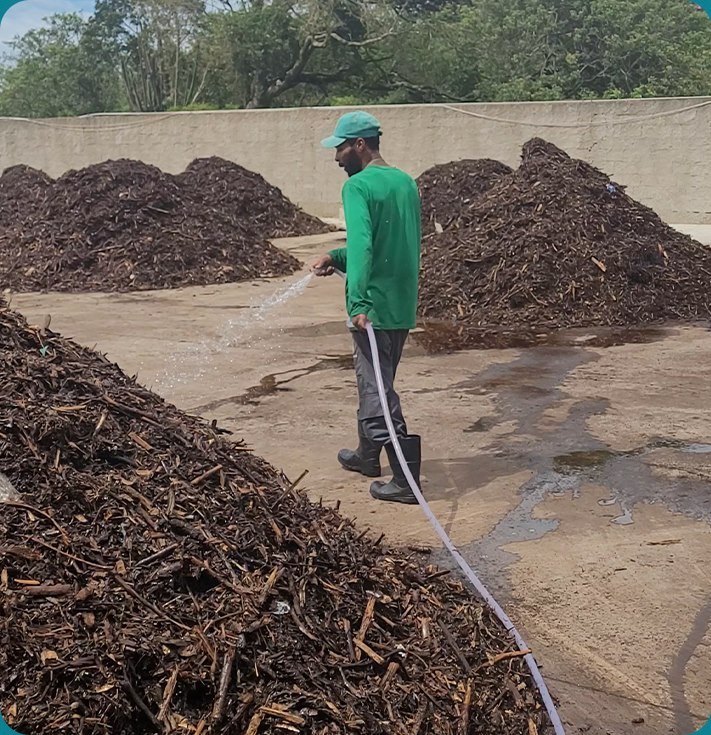 Colaborador irrigando leiras de compostagem