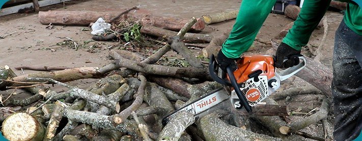 Colaborador cortando galhos de poda com motosserra para produção de lenha